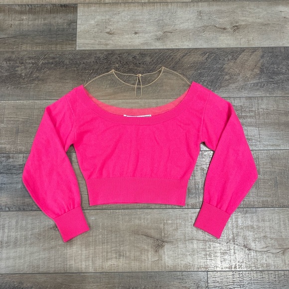 Alexander Wang hot pink sheer yoke sweater - Picture 3 of 8